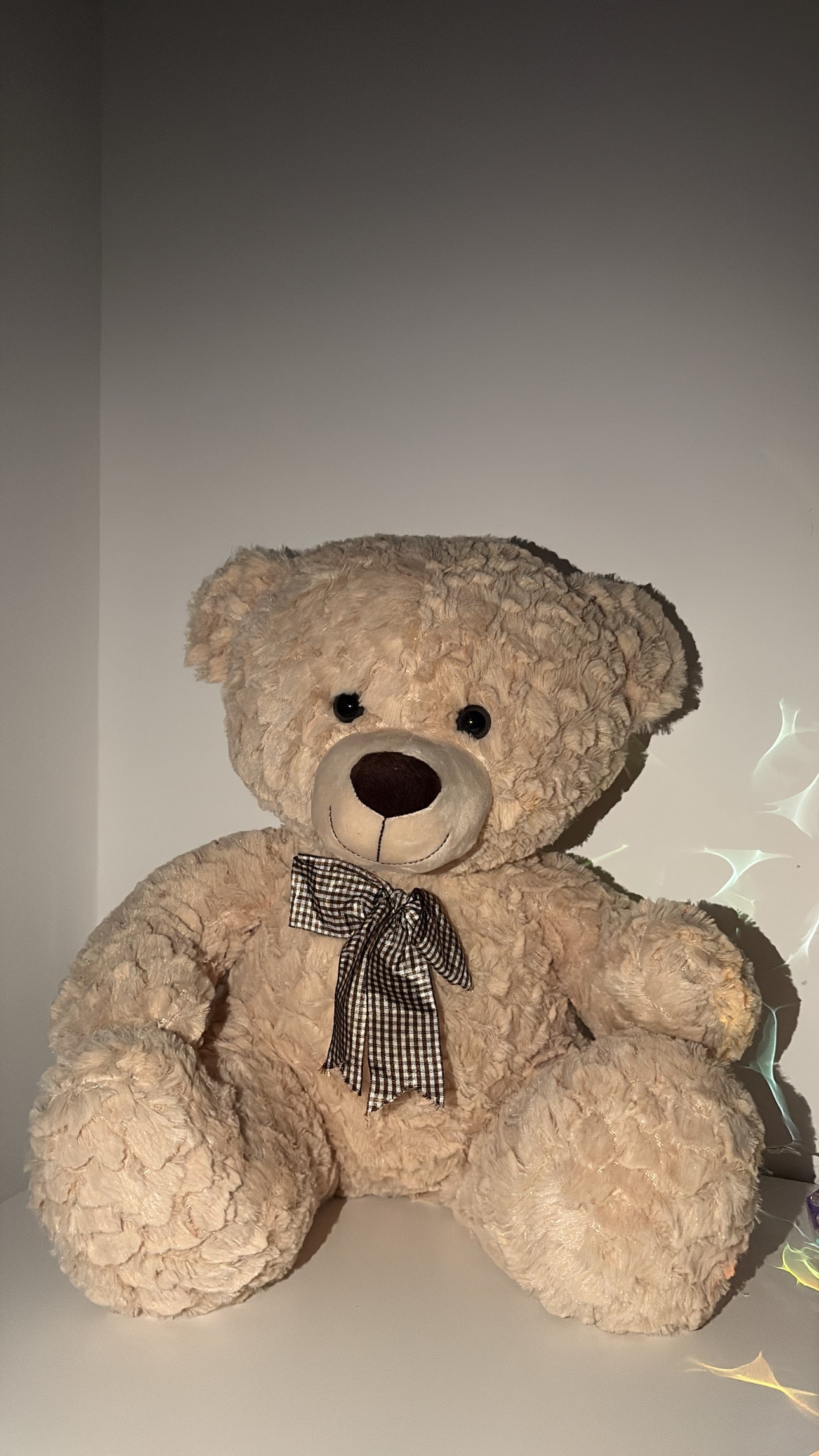 Nini L’Ourson