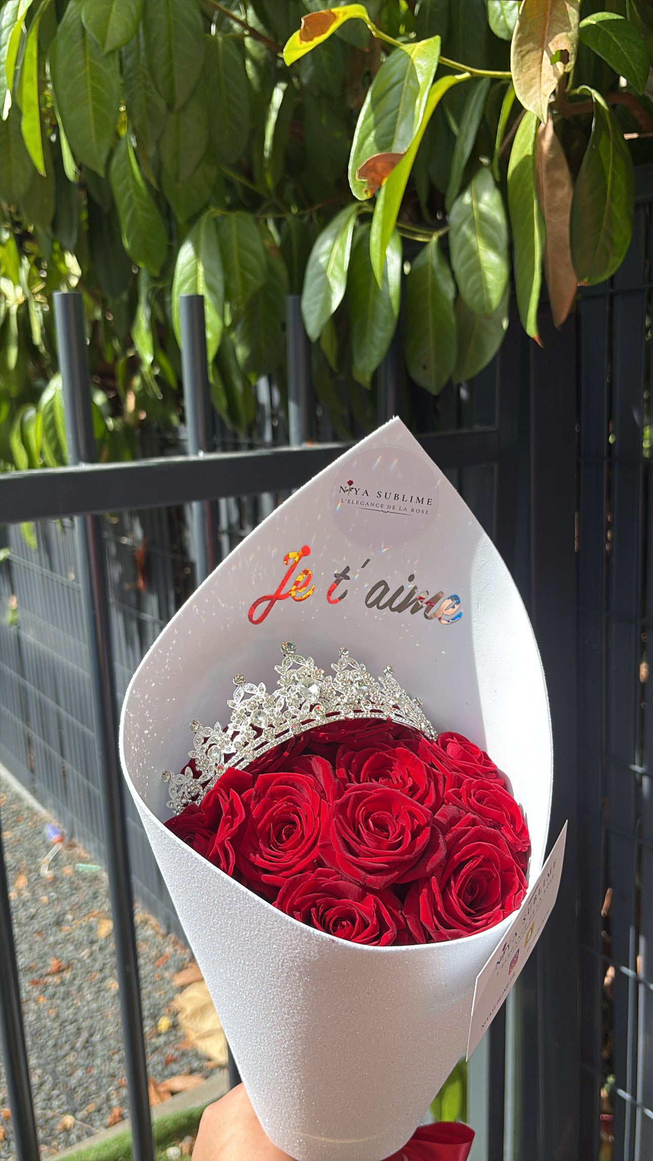 Le Royal