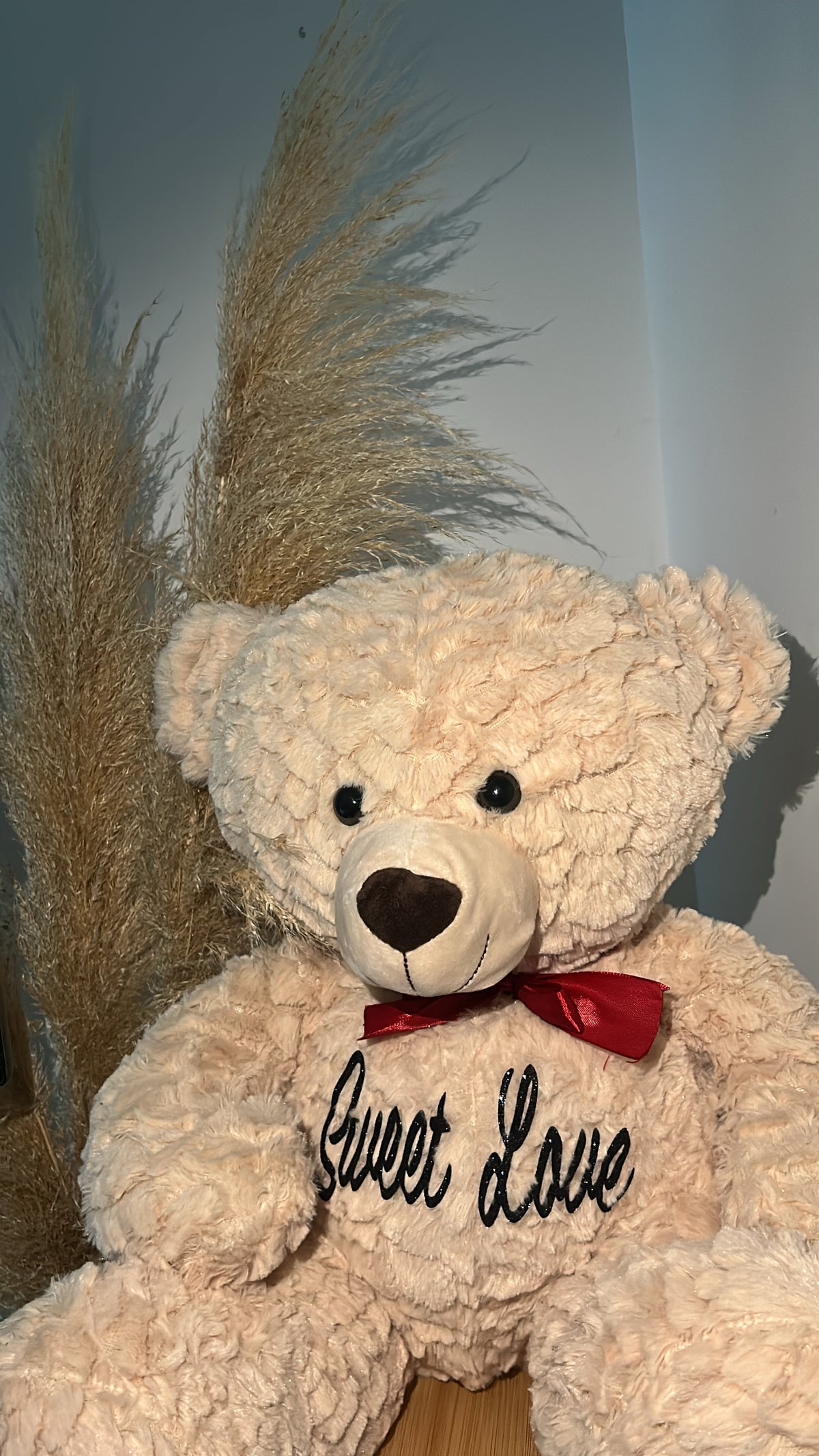 Nini the Bear