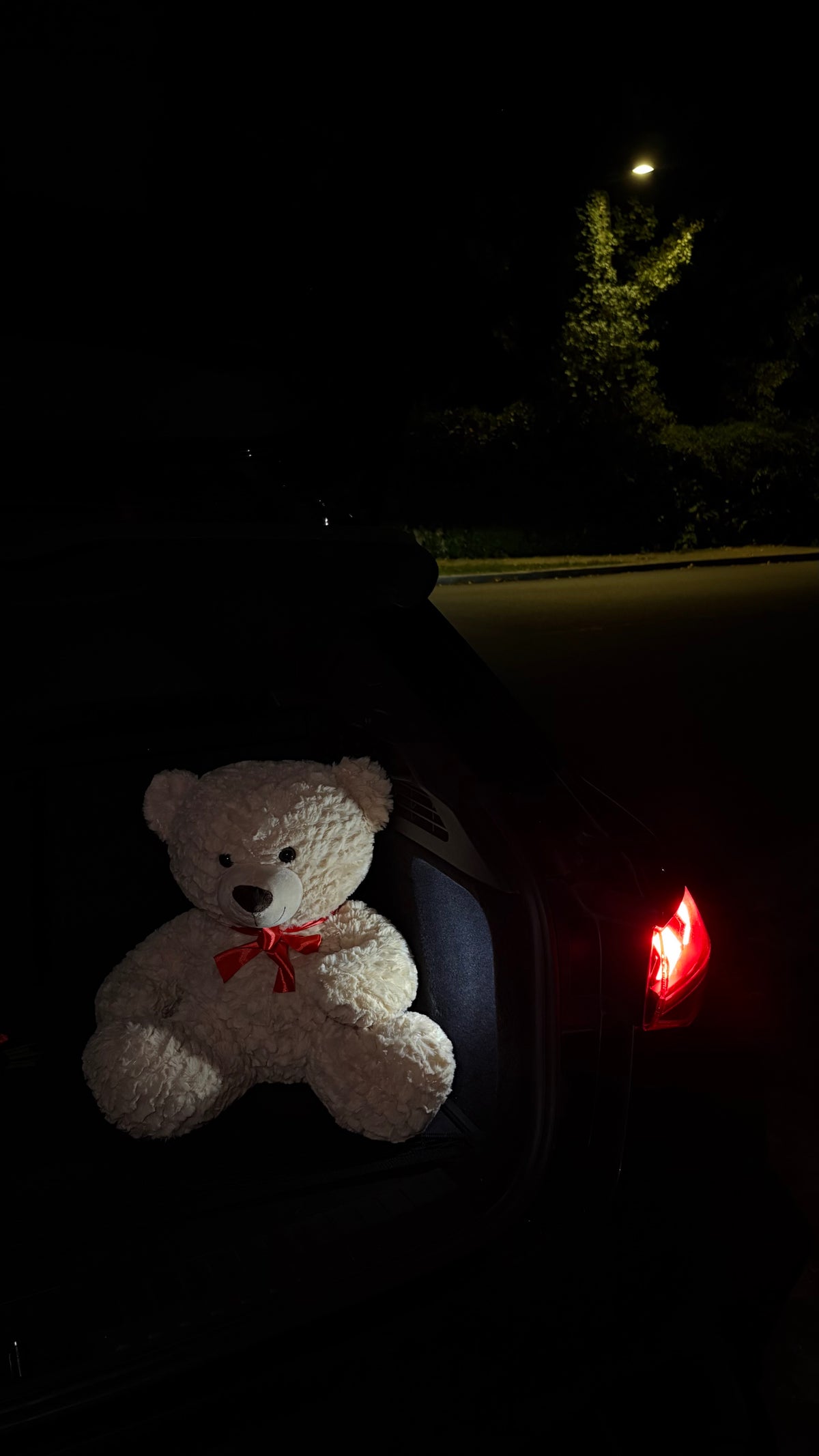 Nini the Bear