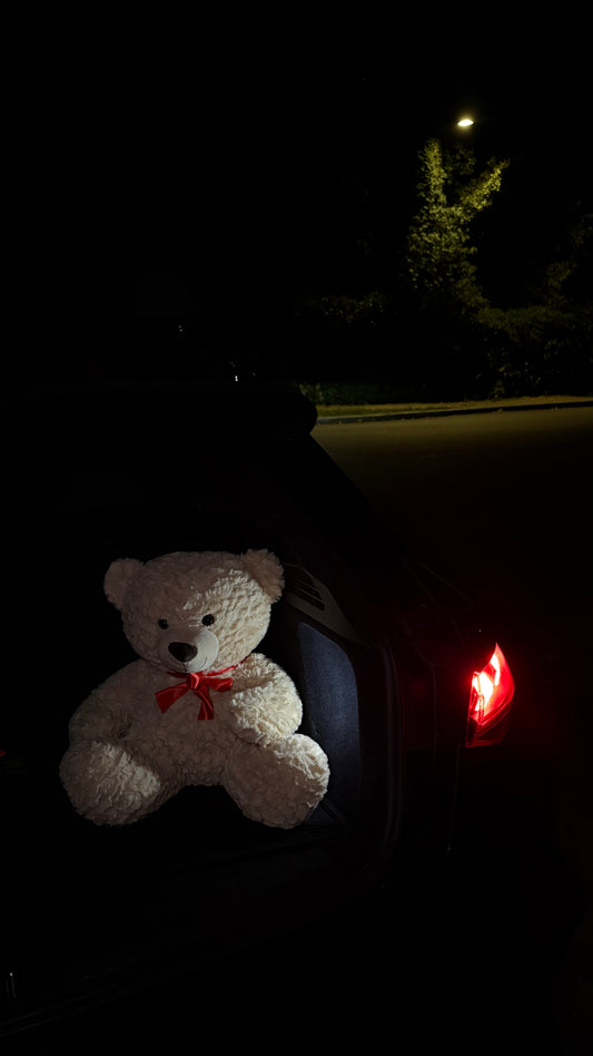 Nini the Bear